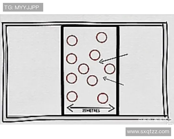 西安排球队区域防守策略解析与战术应用探讨
